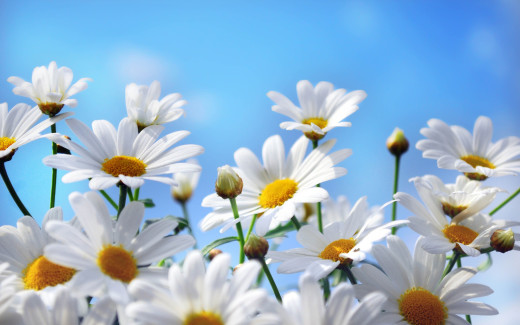 702960 (a): :2560x1600